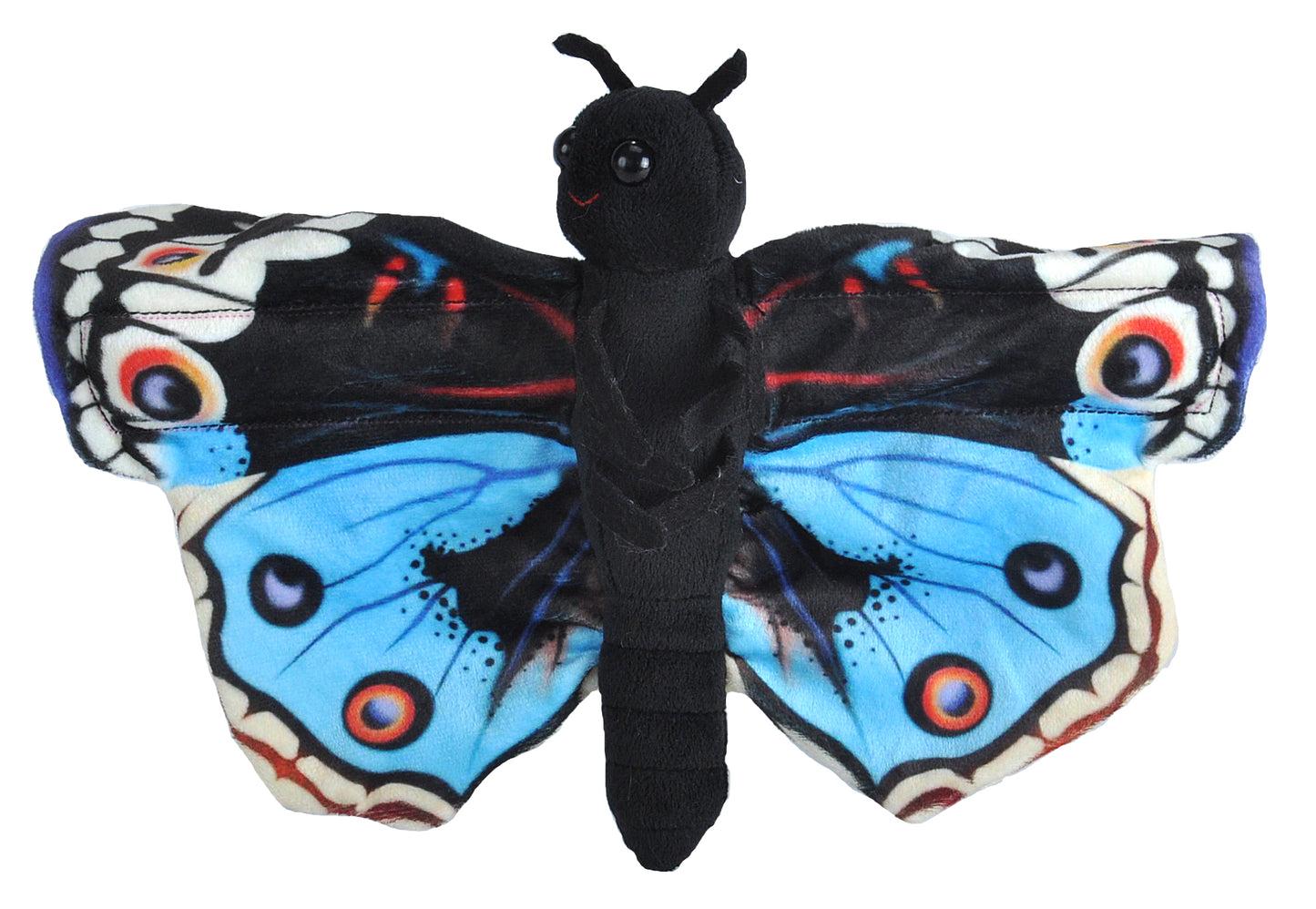 Butterfly Blue Pansy
