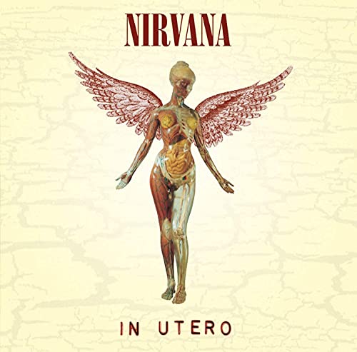 Nirvana In Utero