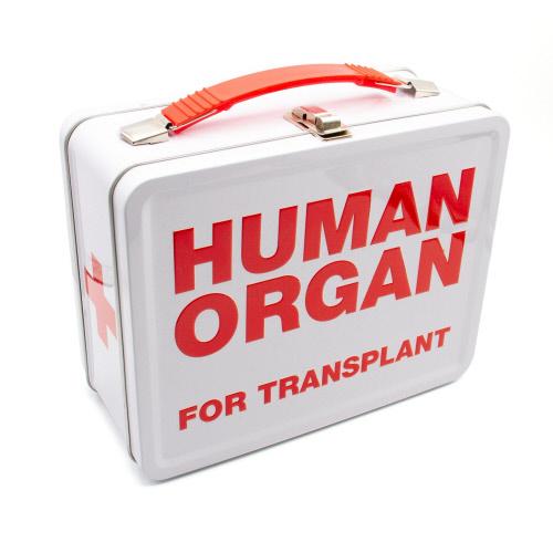 Human Organ Fun Box