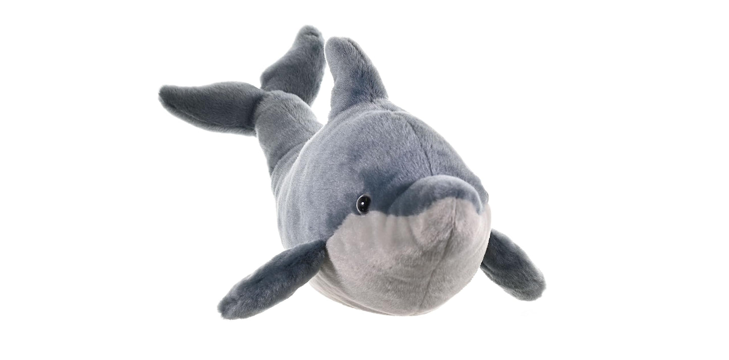 Dolphin