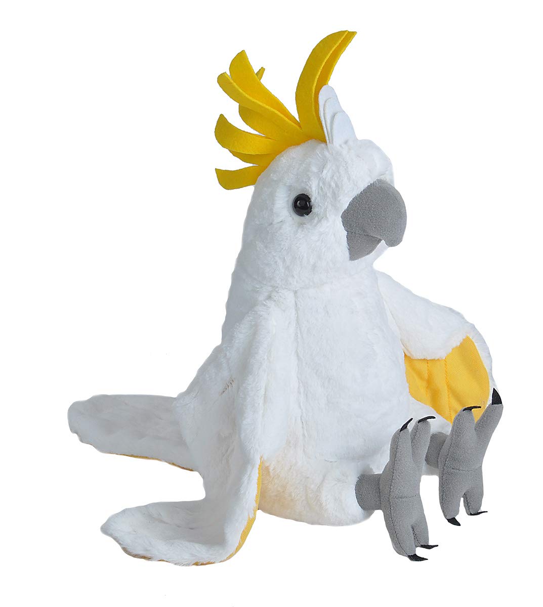 Cockatoo