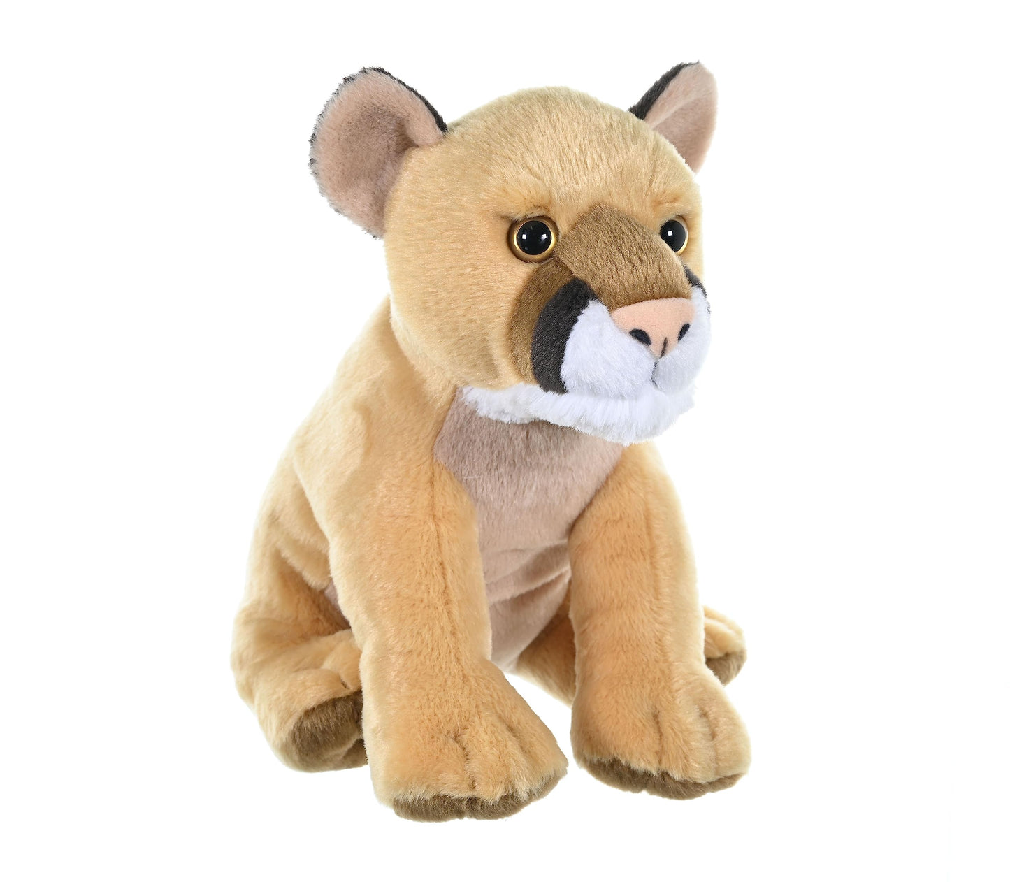 Mountain Lion