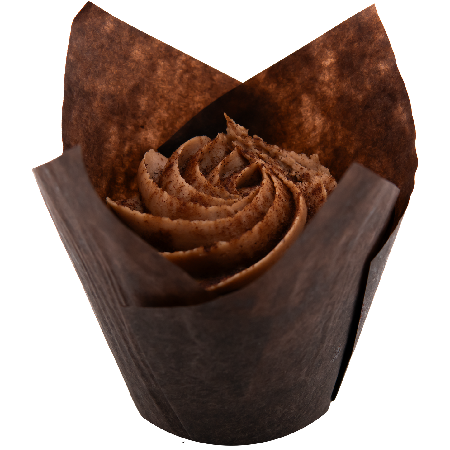 Chocolate Snickerdoodle