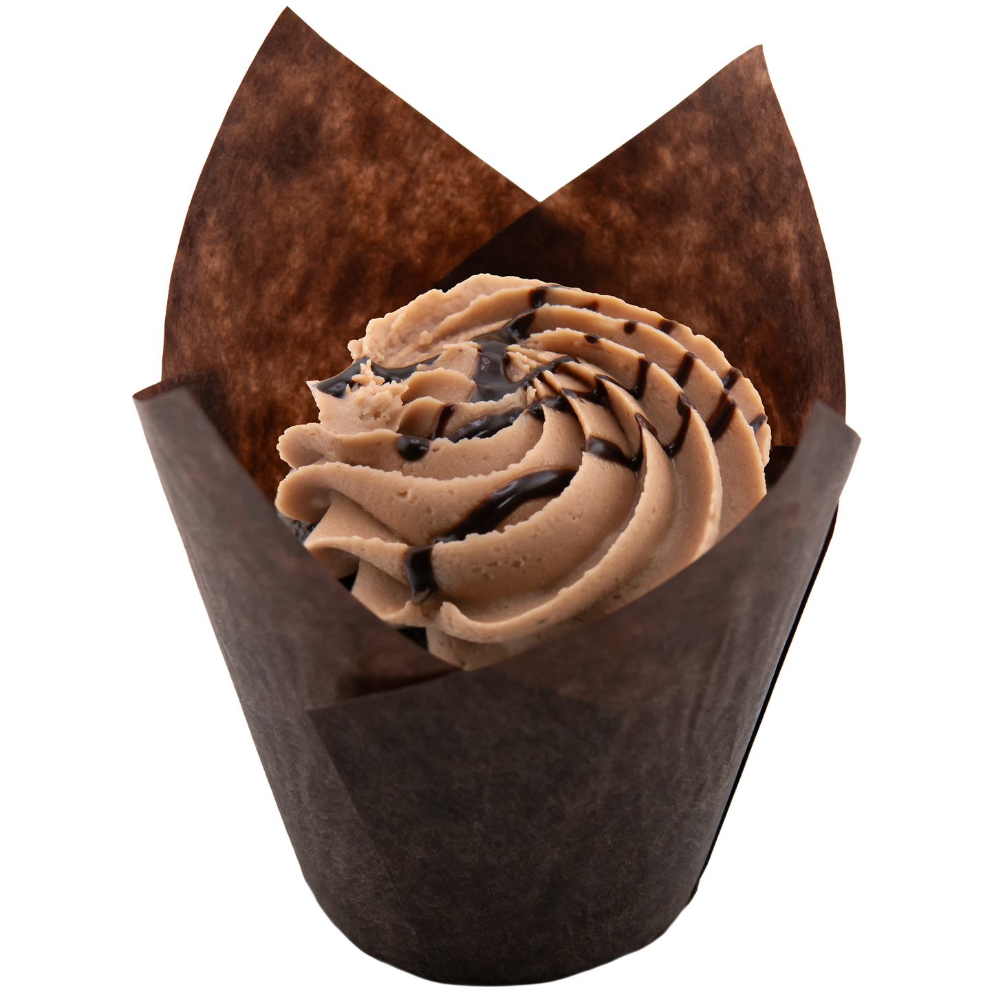 Chocolate on Chocolate