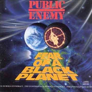 Public Enemy Fear of a Black Planet
