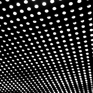 Beach House Bloom