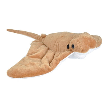 Cownose Ray