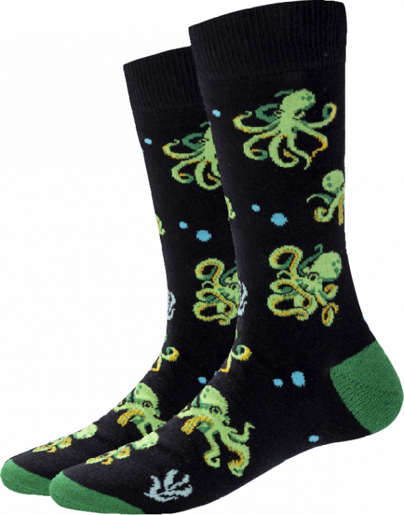 Octopus