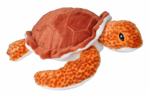 Loggerhead Turtle