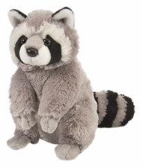 Raccoon