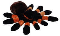 Tarantula