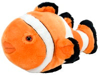 Clownfish