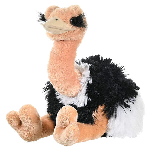 Ostrich