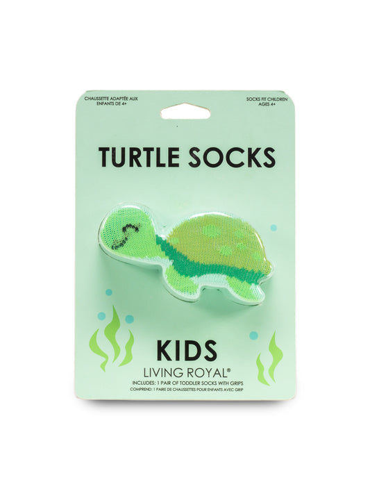 Turtle Kids 3D