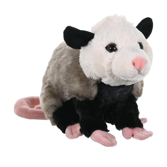 Opossum