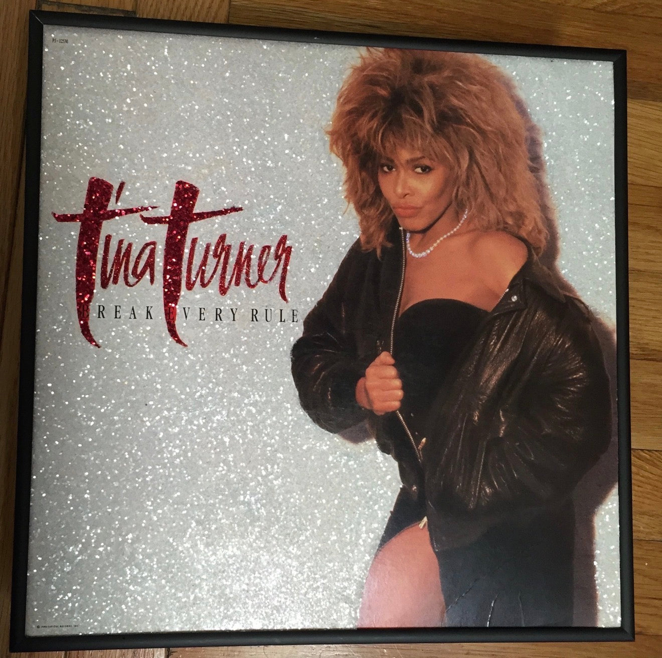 Glitter Vinyl Record