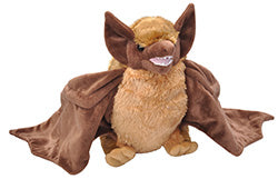 Brown Bat