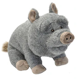 Potbelly Pig