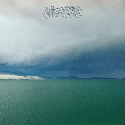 Modest Mouse Fruit that Ate Itself