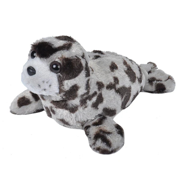 Mini Harbor Seal