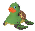 Sea Turtle
