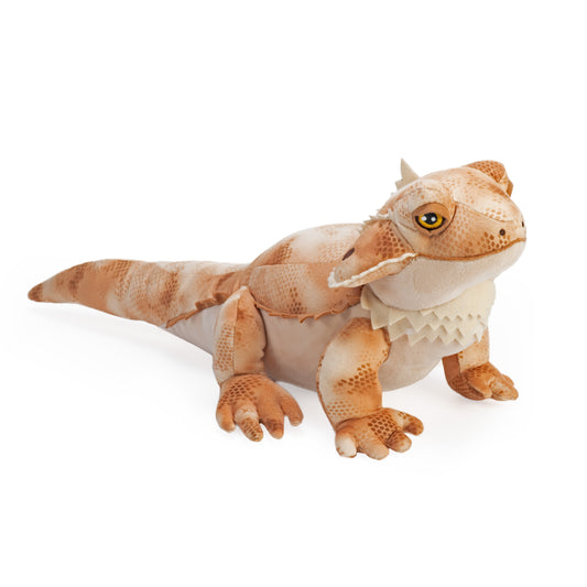 Ecokins Bearded Dragon