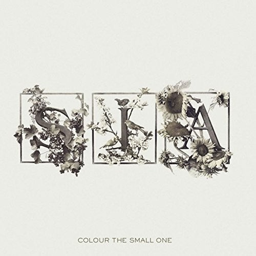 Sia Colour the Small One