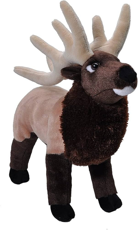 Elk