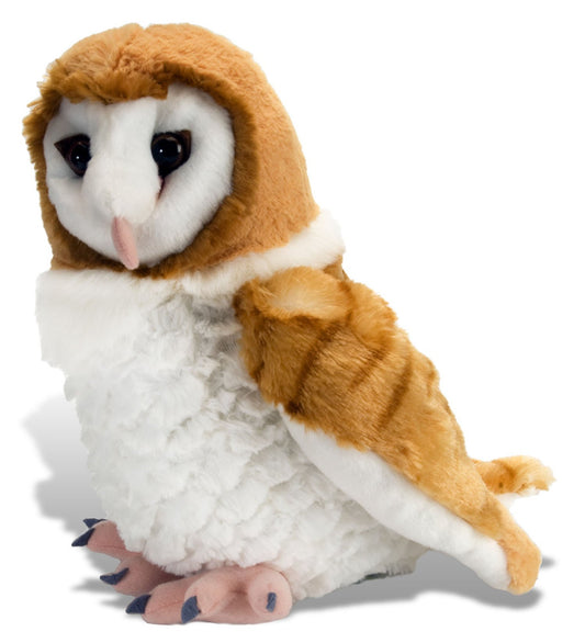 Barn Owl