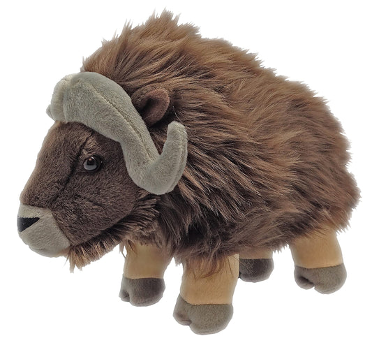 Musk Ox