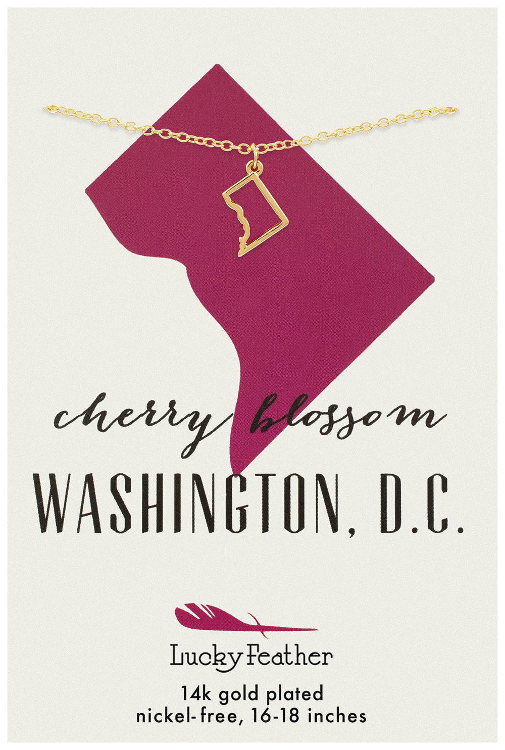 Washington DC State Necklace