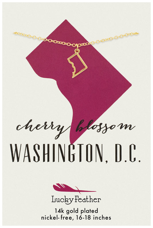 Washington DC State Necklace