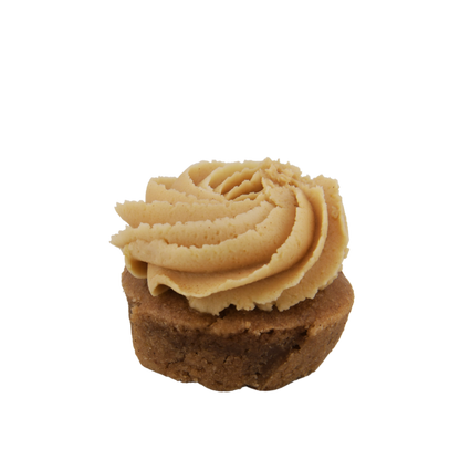 Vegan & Gluten Free Chocolate on Chocolate