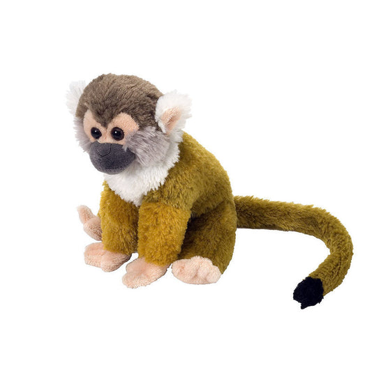 Mini Squirrel Monkey