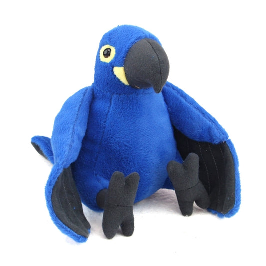 Mini Macaw Hyacinth