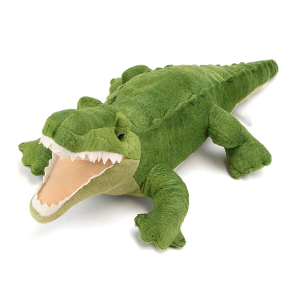 Alligator