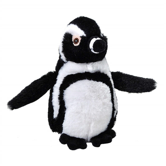 Blackfoot Penguin