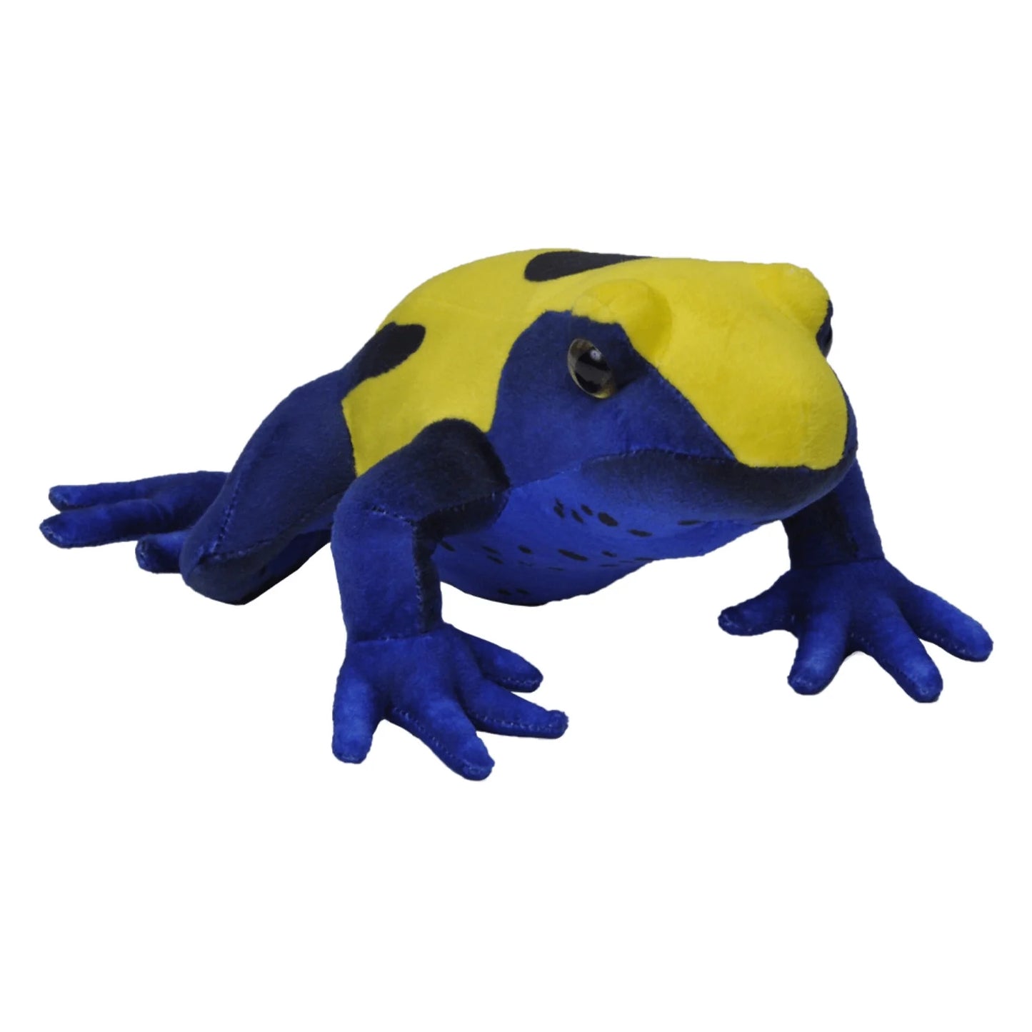 Dart Frog