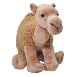 Camel