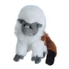 Mini Tamarin