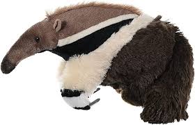 Anteater