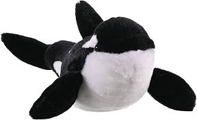 Orca