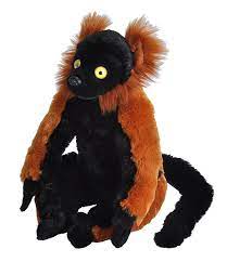 Red Ruffed Lemur