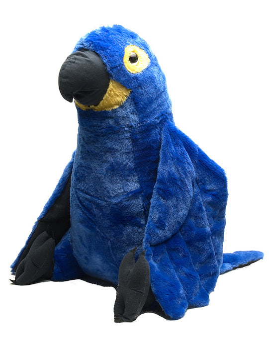 Macaw Hyacinth