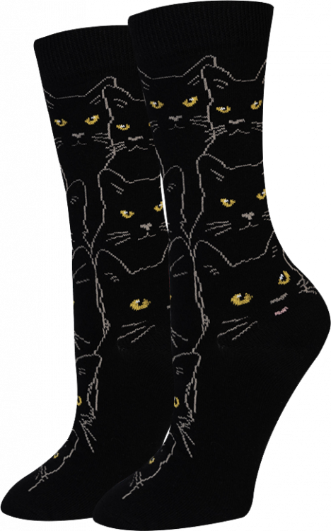 Lucky Black Cat