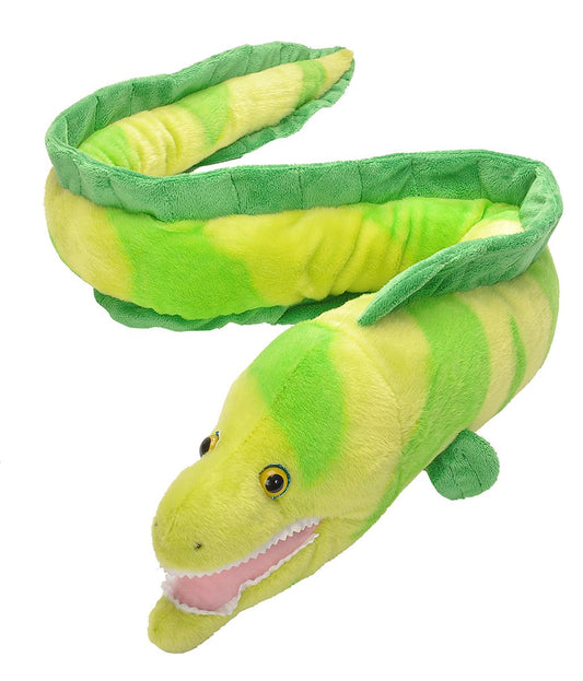 Eel