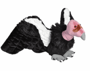 California Condor